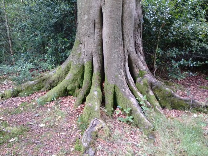 IMG_20170629_150837671