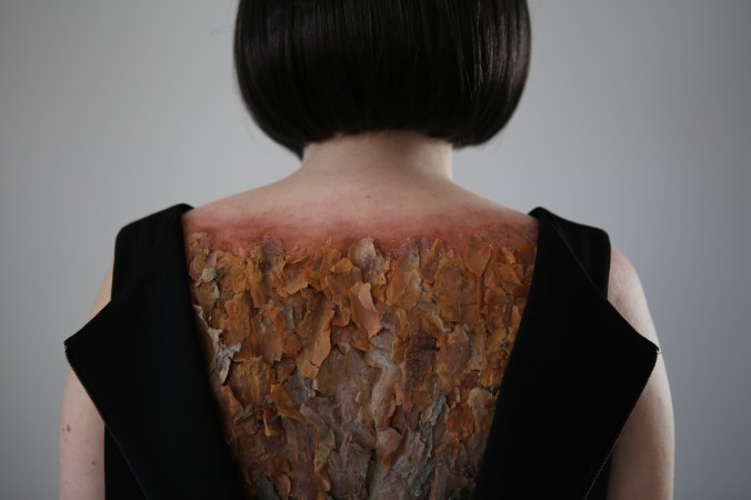 Sini kirjailija kaarnaselkä_3155.JPG